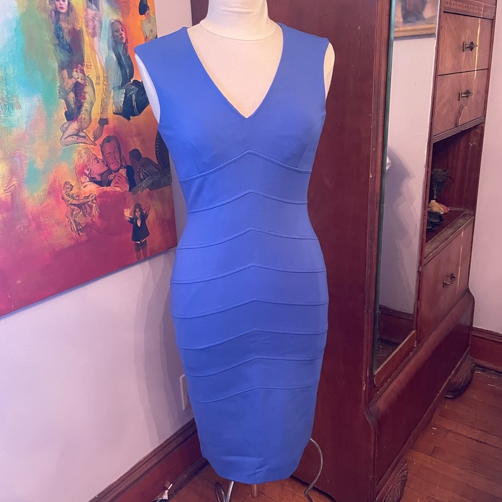 BodyCon Antonio Melani Dress